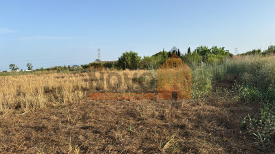 Ref.4636 Terrain à Silla-2