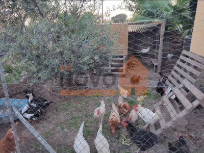 Ref.4678 Chalet en Picassent-13